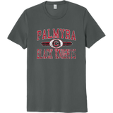 Palmyra Black Knights Unisex Organic Cotton Tee