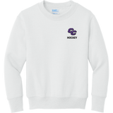 Curry College Youth Core Fleece Crewneck Sweatshirt